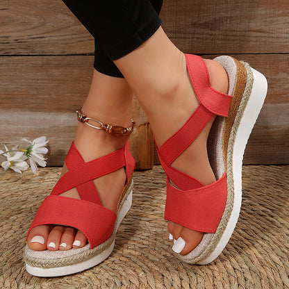 d7b8e50b43e925adfc43ee8be26f147a